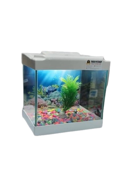 Yaren LED Işıklı Mini Akvaryum