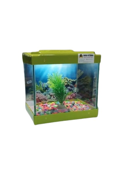Yaren LED Işıklı Mini Akvaryum