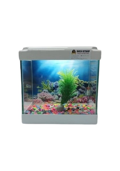 Yaren LED Işıklı Mini Akvaryum