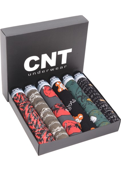 Erkek Çocuk 6'lı Karışık Desenli Boxer - Özel Kutusunda
