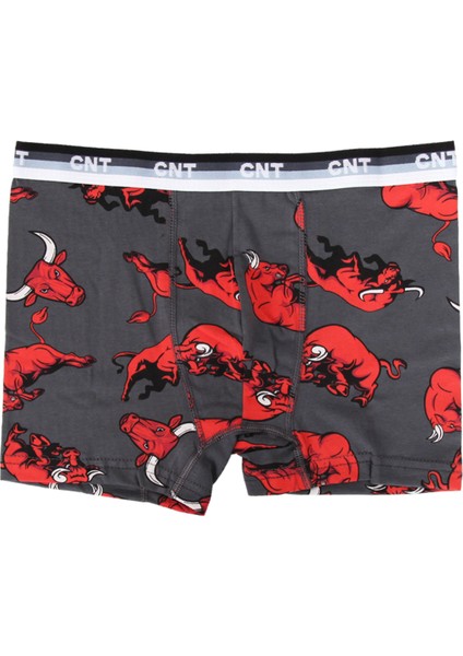 Erkek Çocuk 6'lı Karışık Desenli Boxer - Özel Kutusunda fiyatları