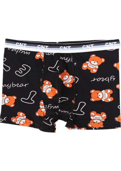 Erkek Çocuk 6'lı Karışık Desenli Boxer - Özel Kutusunda indirimleri