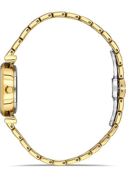 Sarı Çelik Kordon Kadın Kol Saati FL43020A-B fiyatları