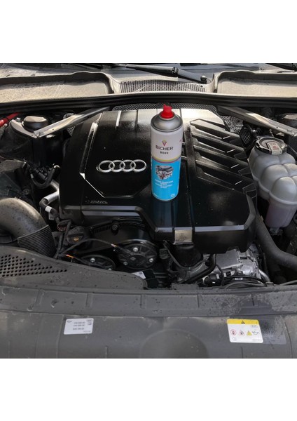 Bıcher Motor Temizleme Sprey 500ML fiyatları