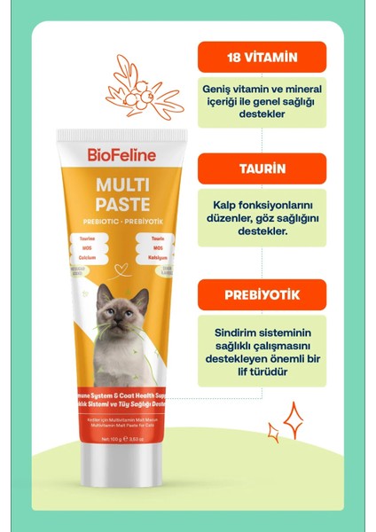 Multi Paste 100 Gr. ( Kediler Için Multivitamin Macunu )