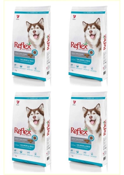 Somonlu ve Pirinçli Yetişkin Köpek Maması 3kg*4 Adet