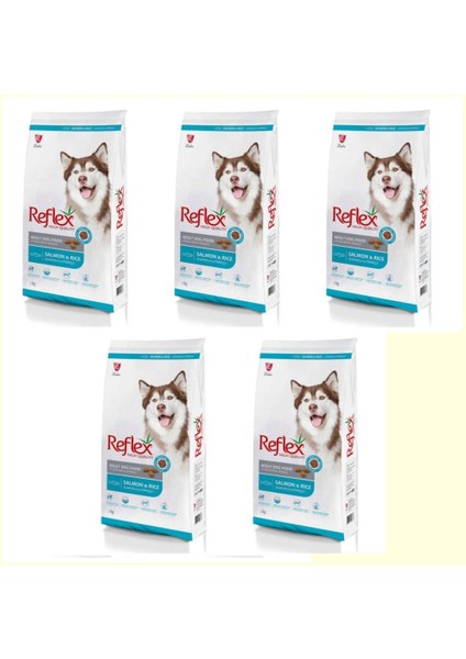 Somonlu ve Pirinçli Yetişkin Köpek Maması 3kg*5 Adet