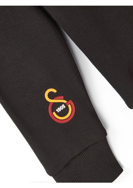 Galatasaray Çocuk Ata Sweatshirt C251277