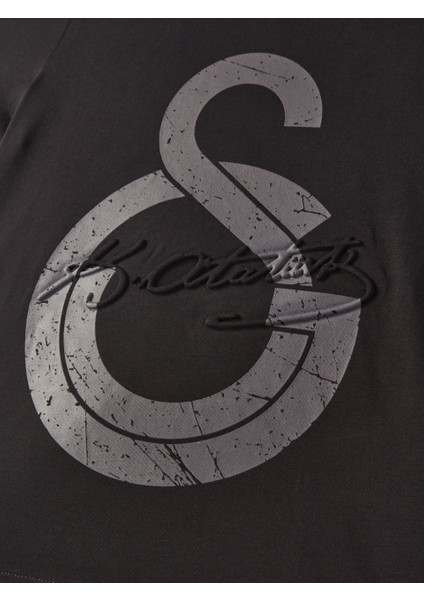 Galatasaray Çocuk Ata Imza T-Shirt C251279 fırsatları