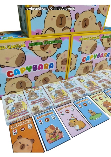 Capybara Oyun Kağıtları (6 Minik Kutu 36 Adet Karakter 6 Adet Sticker) Eğlenceli Karakter Kartları