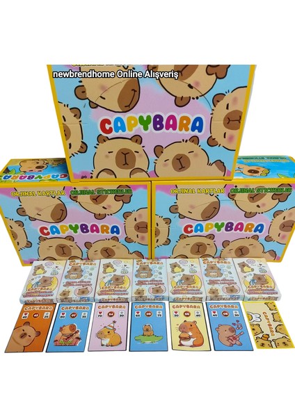 Capybara Oyun Kağıtları (6 Minik Kutu 36 Adet Karakter 6 Adet Sticker) Eğlenceli Karakter Kartları