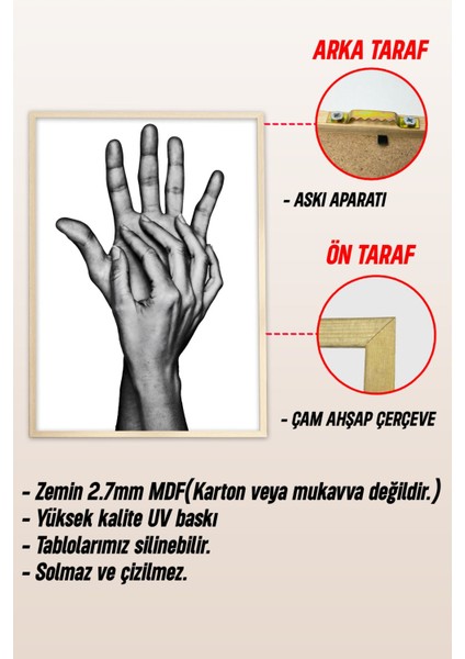 Ahşap Çerçeveli Mdf Tek Tablo Picasso Serisi (Kendi Tablo Setinizi Oluşturacağınız Liste) Çerçeveli 1184