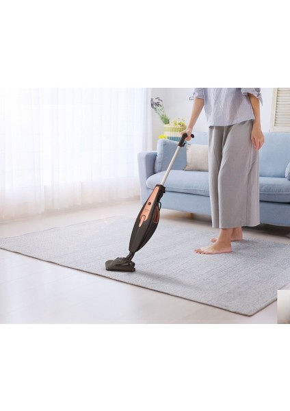 Range Rematrix 650W 2'si 1 Arada Dikey Elektrikli Süpürge