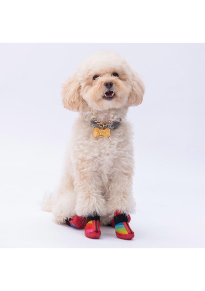 Peru Desenli Köpek Ayakkabısı-Köpek Patiği indirimleri