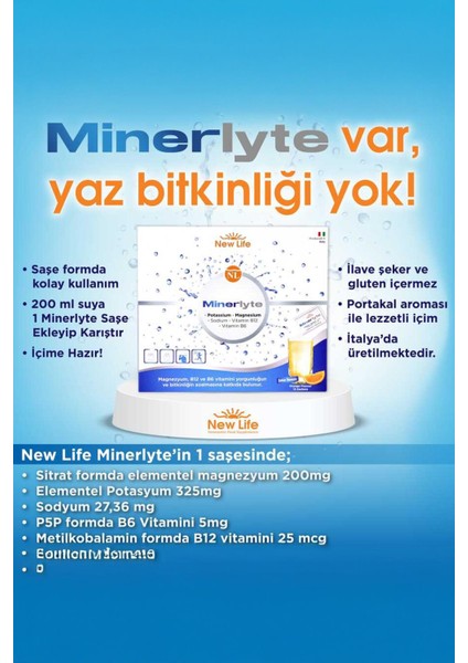 Minerlyte 12 Saşe 2 Adet fiyatları
