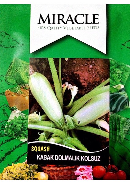 Ata Tohumları Geleneksel Siyah Sofralık Kızartmalık Kabak Tohumu (20 Tohum)