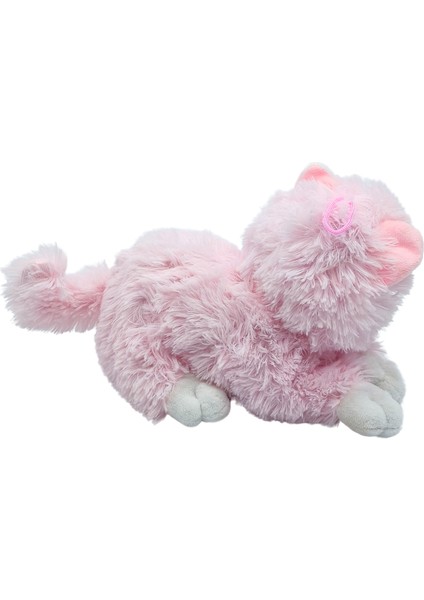 Iri Gözlü Ses Çıkaran Peluş Kedi PL626962 fiyatları