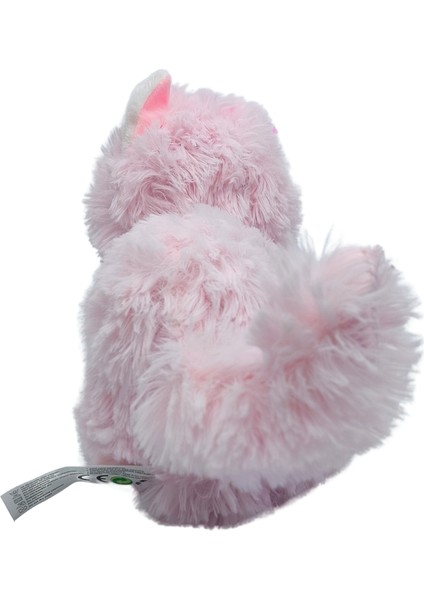 Iri Gözlü Ses Çıkaran Peluş Kedi PL626962 modelleri