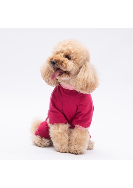 Go Teddy Küçük Irk Köpek Penye Tulum Pijama fiyatları