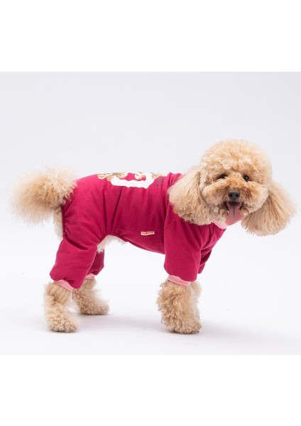 Go Teddy Küçük Irk Köpek Penye Tulum Pijama modelleri