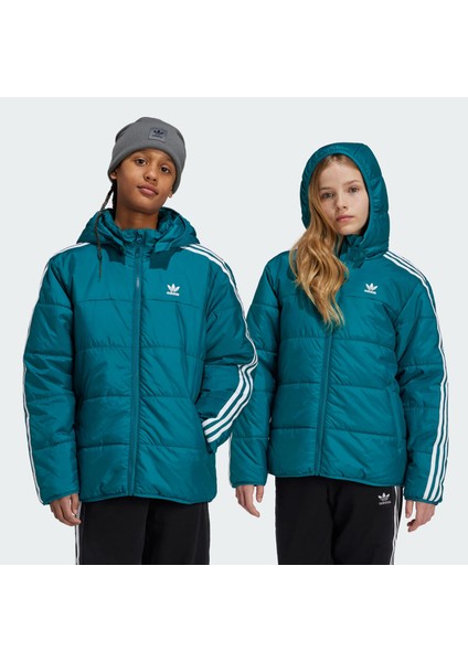 Originals IY7495 Adicolor Jacket Kids