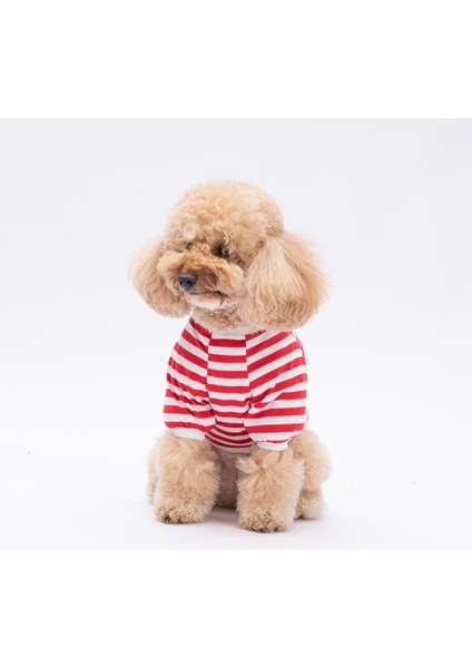Winnie Kedi Köpek Sweati - Kedi Köpek Kıyafeti