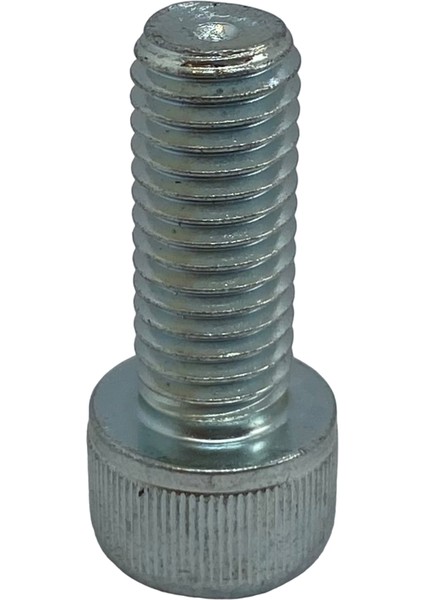 Makine Teker Vidası (Uzun) / 10X25MM