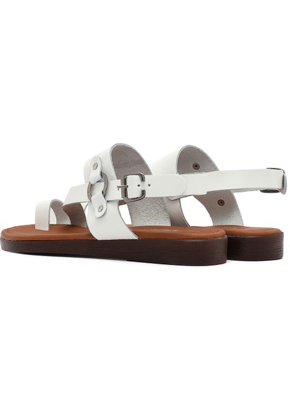 Kadın Taba Parmak Arası Deri Bodrum Sandalet 25SFD331218