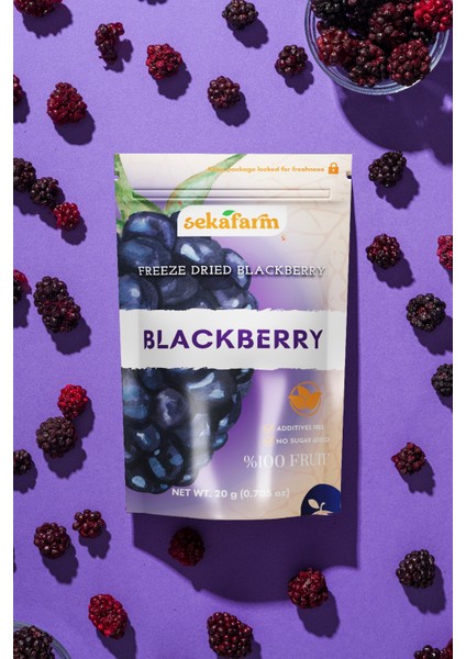 Freeze Dried Böğürtlen, Dondurularak Kurutulmuş Meyve Cipsi, Freeze Dry Meyve Kurusu 20 gr
