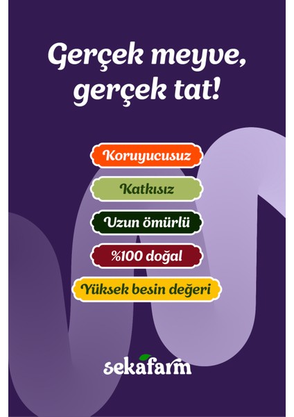 Freeze Dried Böğürtlen, Dondurularak Kurutulmuş Meyve Cipsi, Freeze Dry Meyve Kurusu 20 gr