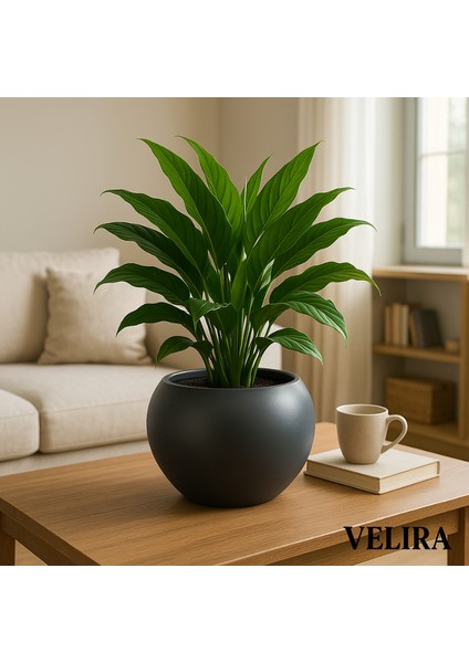 Küre Saksı Yuvarlak Saksı Modern Dekoratif Plastik Saksı 7,5 Litre