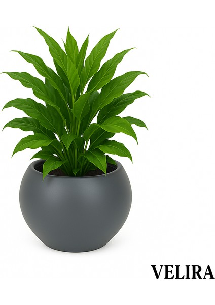 Küre Saksı Yuvarlak Saksı Modern Dekoratif Plastik Saksı 7,5 Litre modelleri