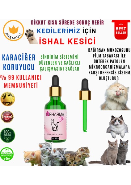 Cat Kedilerimiz Için Ishal Kesici ve Karaciğer Koruyucu