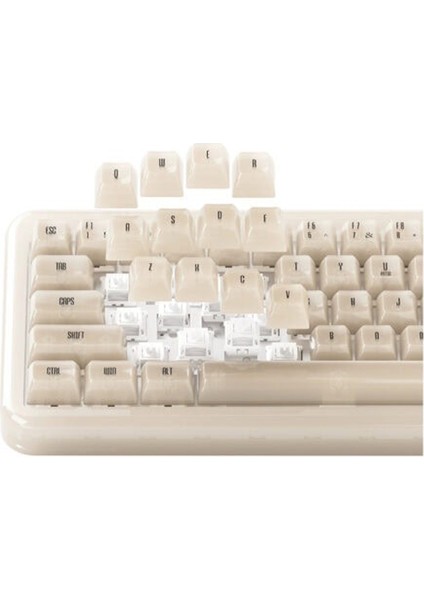 YU01 Antique Jade Rgb Kablosuz Hotswap Mekanik Gaming Klavye