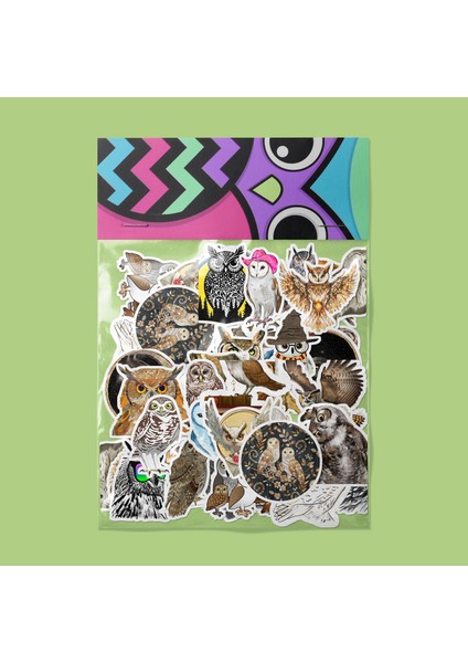 Baykuş Sticker Paketi -Bullet Journal - Ajanda - Planner - Defter - Laptop Etiket Çıkartma Çok Renkli 10 x 15 Paket Boyutu 3 x 5 cm Stickerlar Paket Içeriği 25 Adet Dadi Ramba Sticker