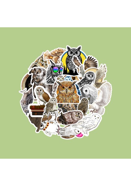 Baykuş Sticker Paketi -Bullet Journal - Ajanda - Planner - Defter - Laptop Etiket Çıkartma Çok Renkli 10 x 15 Paket Boyutu 3 x 5 cm Stickerlar Paket Içeriği 25 Adet Dadi Ramba Sticker