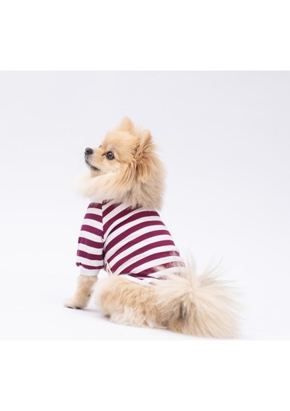 Piglet Kedi Köpek Sweati - Kedi Köpek Kıyafeti