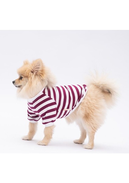 Piglet Kedi Köpek Sweati - Kedi Köpek Kıyafeti fırsatları