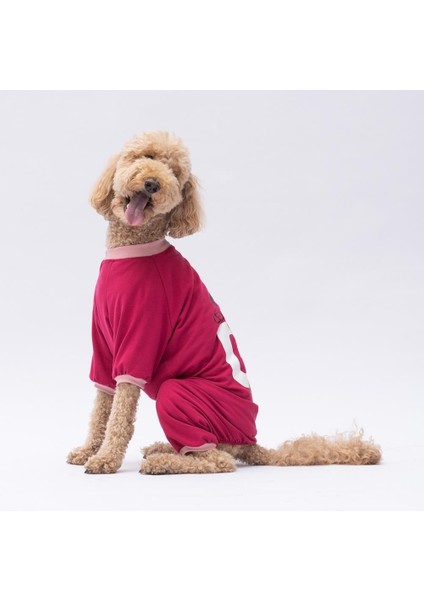 Go Teddy Bear Orta ve Büyük Irk Köpek Pijaması - Köpek Tulumu - Köpek Kıyafeti (15 Kg-45 Kg) modelleri