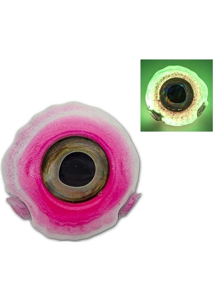 Nautilus 1.0 Tai Rubber Kafa 150gr #01 Pink