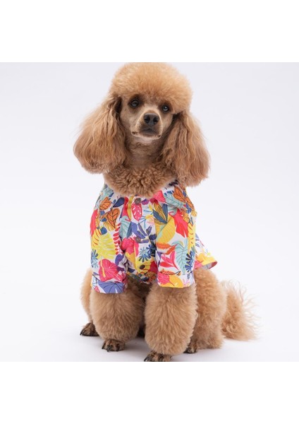 Miami Kedi Köpek Gömleği - Kedi Köpek Kıyafeti fiyatları