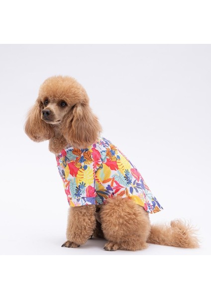 Miami Kedi Köpek Gömleği - Kedi Köpek Kıyafeti modelleri