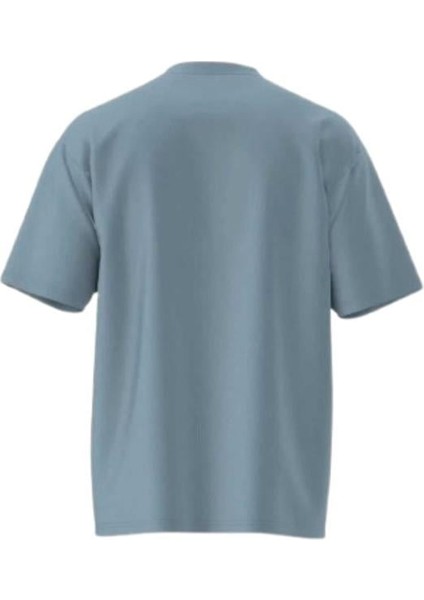 Essentıal Loose Ss VN000HPZCFL1 Mor Tişört fiyatları