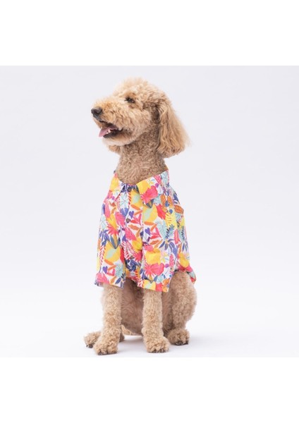 Miami Orta ve Büyük Irk Köpek Gömleği - Köpek Kıyafeti (15 Kg-45 Kg) fiyatları