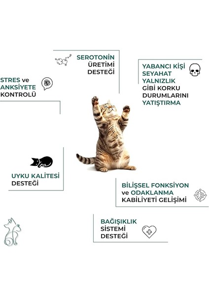 Kahu Naturals Calming Relief Paste, Bitkisel Içerikli Kediler Için Sakinleştirici Malt, 100 ml