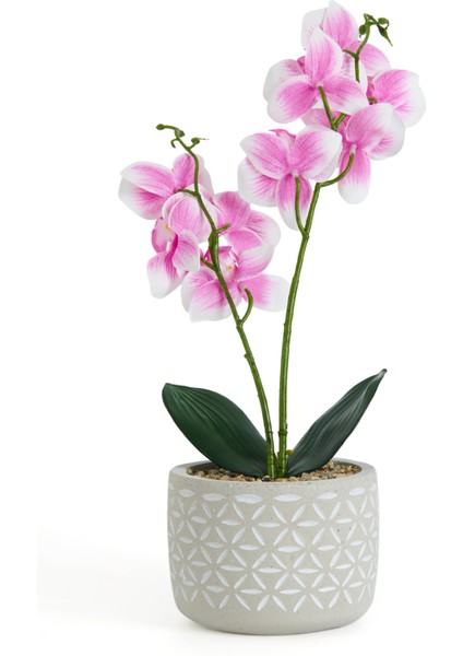 Beton Saksıda Real Touch Orkide - Pembe - 12X35 cm