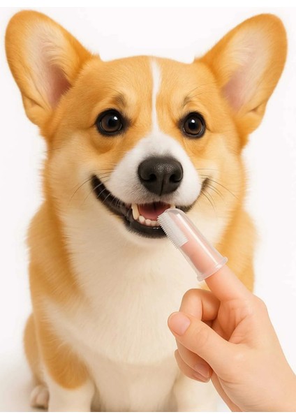Kedi ve Köpek Için Silikon Parmak Diş Kaşıyıcı Dil Temizleyici Diş Fırçası fiyatları
