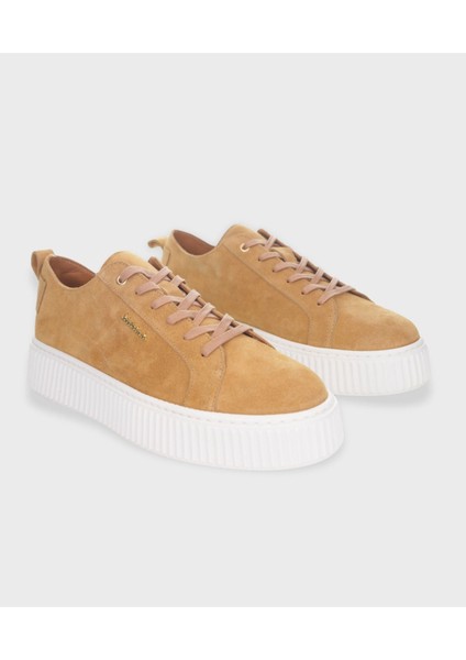 Taba Sneaker