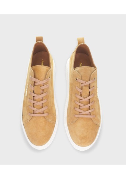 Taba Sneaker