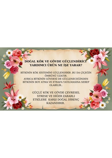 Doğal Kök ve Gövde Formül(Zambak)